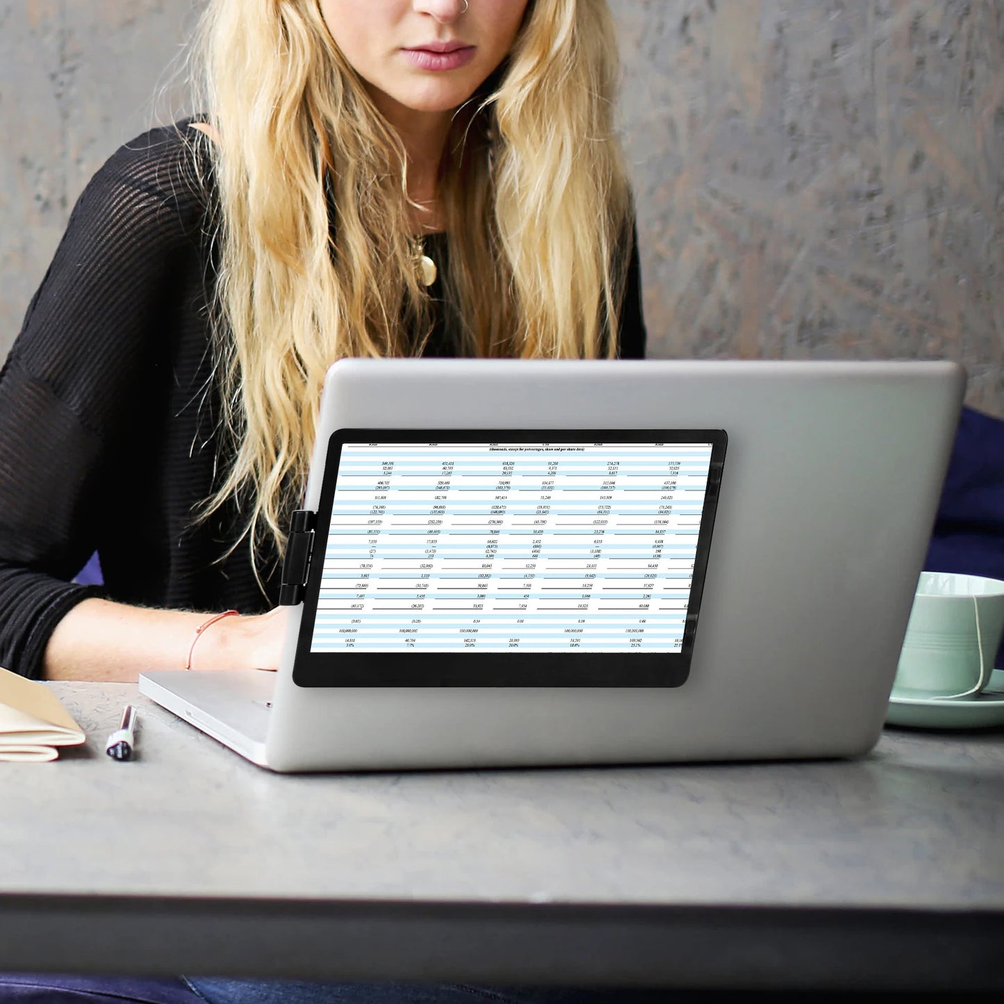 LAPTOP EXPANSION SCREEN