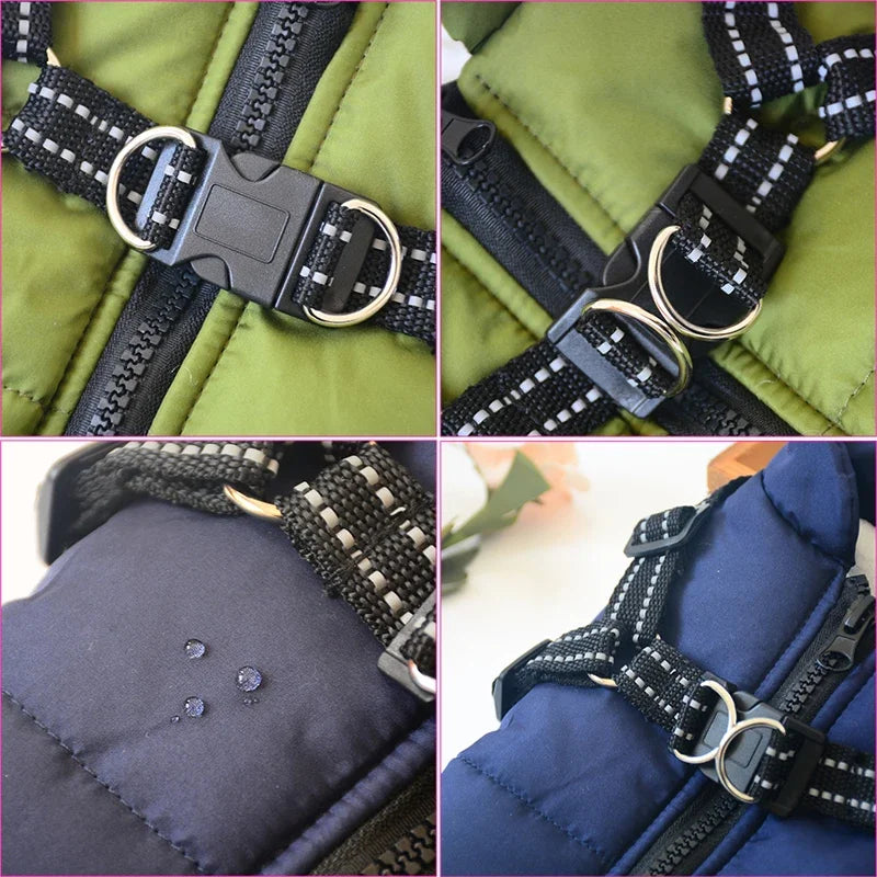 DOG WINTER JACKET