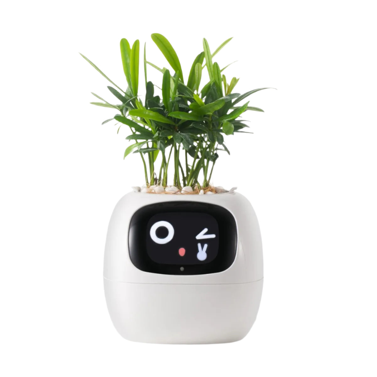 SMART PLANTER - AI POWERED