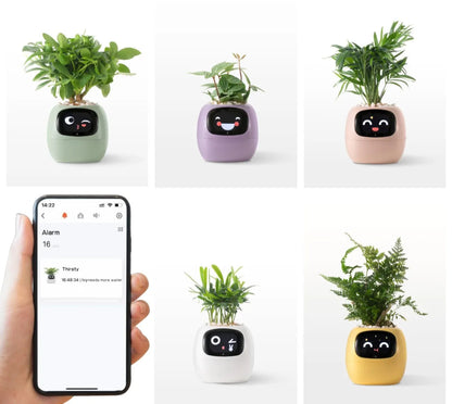 SMART PLANTER - AI POWERED