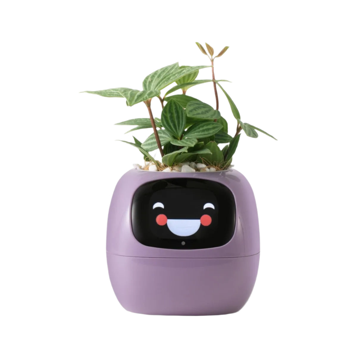 SMART PLANTER - AI POWERED