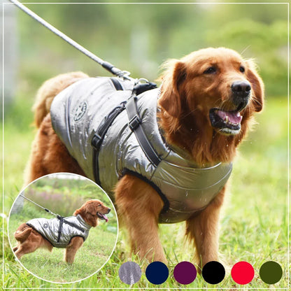 DOG WINTER JACKET