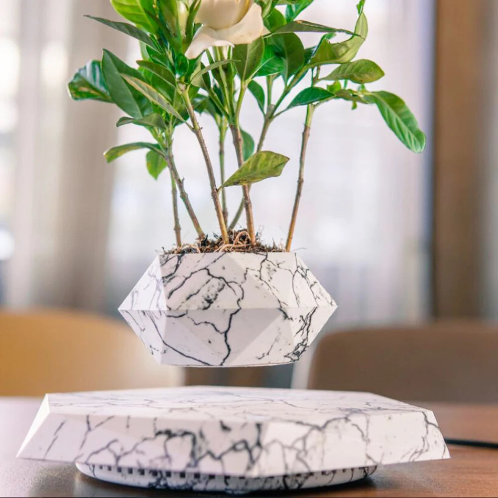 LEVITATING BONSAI