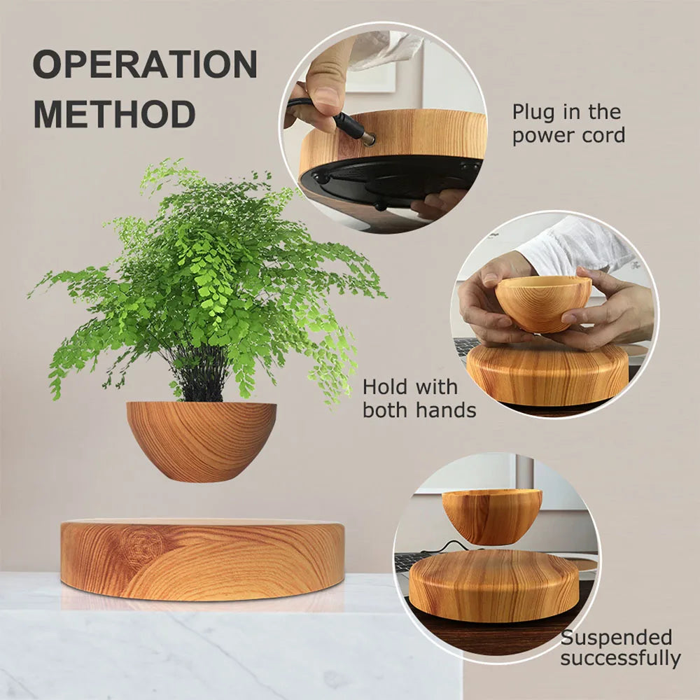 LEVITATING BONSAI