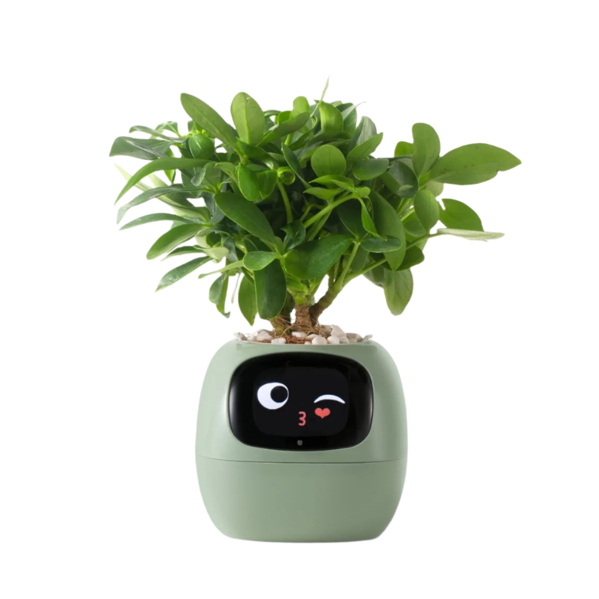 SMART PLANTER - AI POWERED