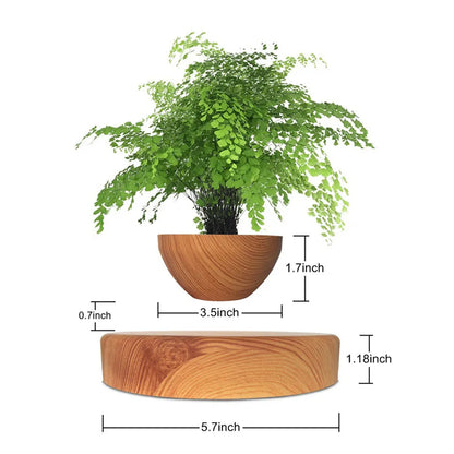 LEVITATING BONSAI