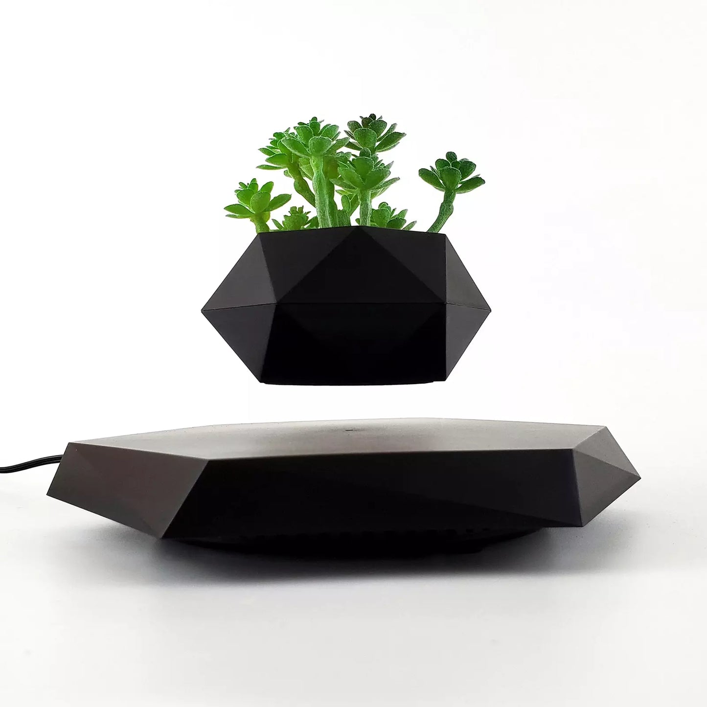 LEVITATING BONSAI